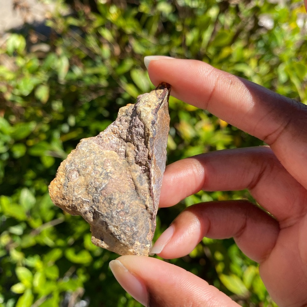 Laguna Agate - Picture 4 of 5